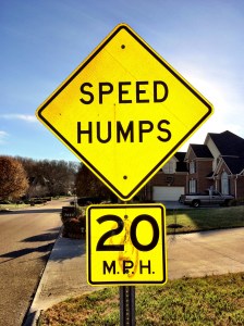 The speed bump sign on our street.