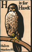 Another bird enters my day.