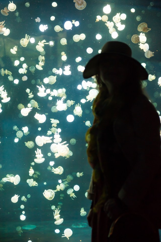 Anna silhouette with jellyfish Vancouver